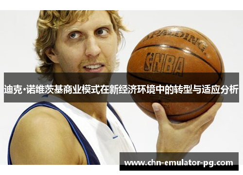 迪克·诺维茨基商业模式在新经济环境中的转型与适应分析