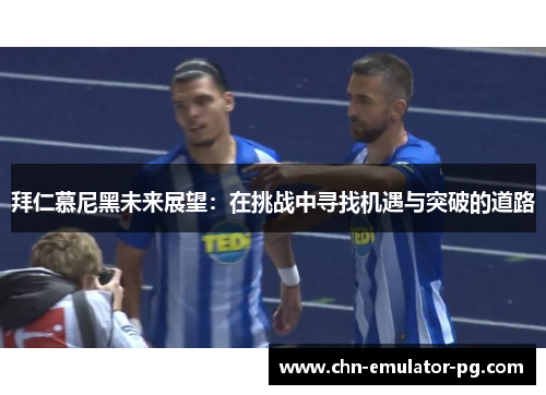拜仁慕尼黑未来展望：在挑战中寻找机遇与突破的道路