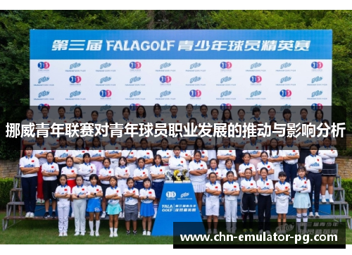 挪威青年联赛对青年球员职业发展的推动与影响分析